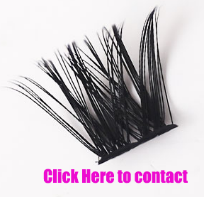 Consequi attonitus vide cum Lash Clusters et CRINITUS Lash Tractus