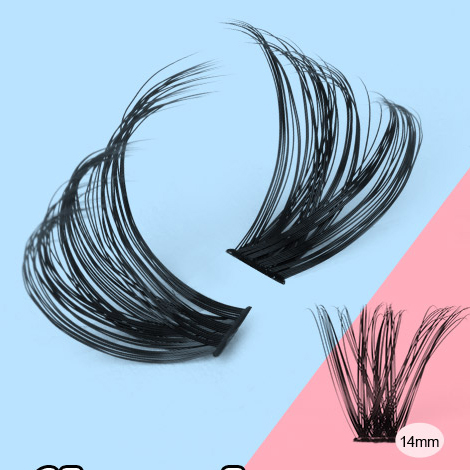 Segmentum eyelash