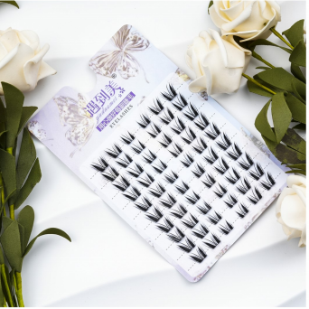 Clear cohortis Eyelash Cluster1